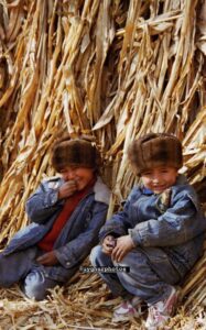 WhatsApp Image 2022-05-29 at 7.50.29 AM