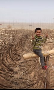 WhatsApp Image 2022-05-29 at 7.50.33 AM