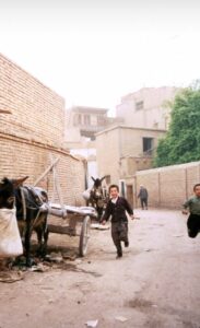 WhatsApp Image 2022-05-29 at 7.50.48 AM