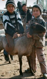 WhatsApp Image 2022-05-29 at 7.50.49 AM (1)